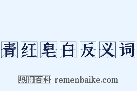 青红皂白反义词是什么意思的图片